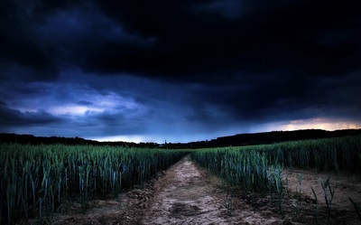 Risk Management - Photo of dark storm clouds rolling in over a field of tall green grass.